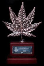 OG Kush CBD Feminised Seeds - Image 3