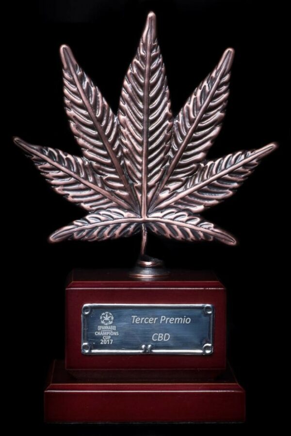 OG Kush CBD Feminised Seeds - Image 3