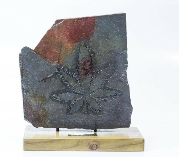 Purple Afghan Kush Feminised Seeds - Image 2