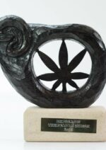 Purple Afghan Kush Feminised Seeds - Image 4