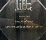 Sour Diesel Auto Feminised Seeds - Image 4