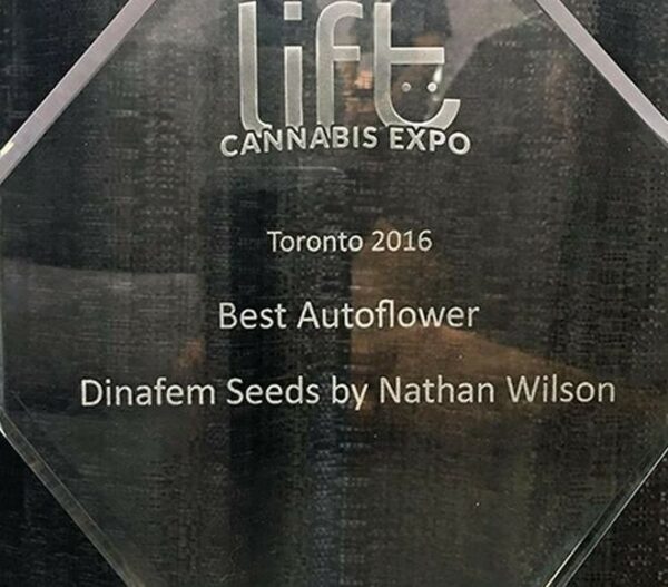 Sour Diesel Auto Feminised Seeds - Image 4