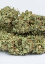 OG Kush Auto Feminised Seeds - Image 6