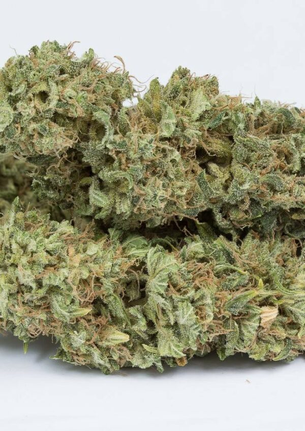 OG Kush Auto Feminised Seeds - Image 6