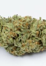 Bubba Kush Auto Feminised Seeds