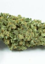 Haze 2.0 Auto Feminised Seeds - Image 5