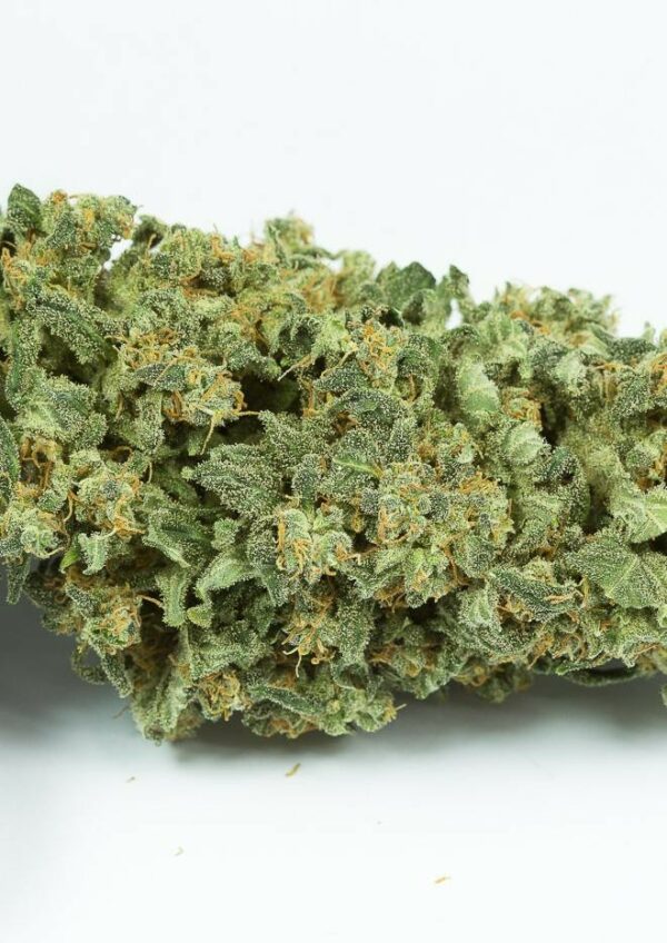 Haze 2.0 Auto Feminised Seeds - Image 5