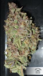 Desfran Feminized Seeds - Image 6