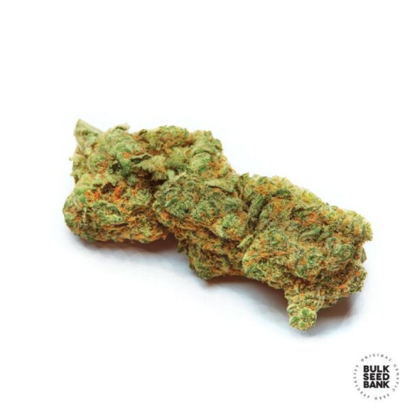 SPECIAL CRYSTAL HAZE