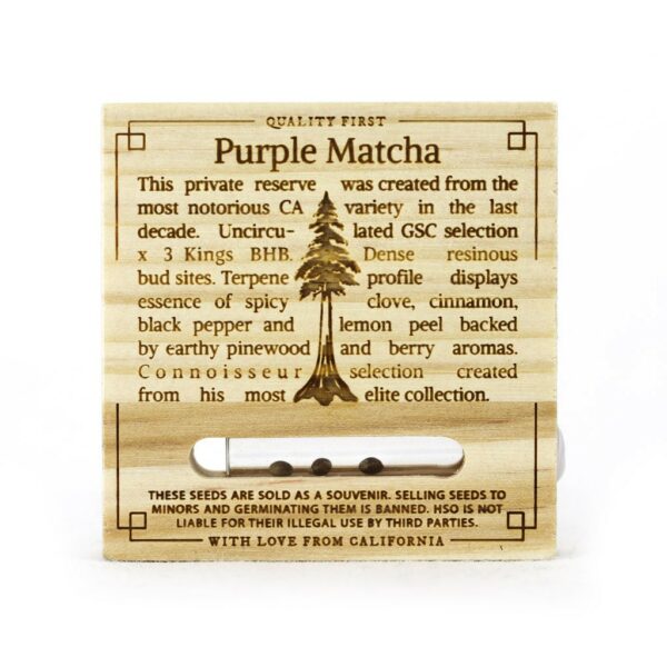 Purple Matcha
